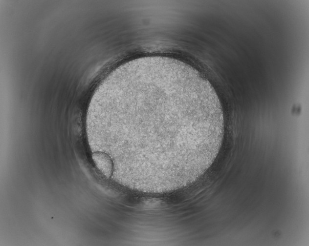 X0000112160547200909181450