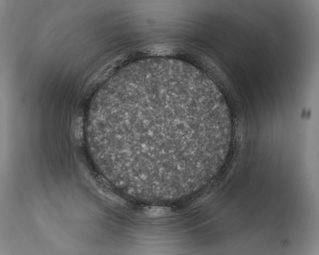 X0000112160549200909181450