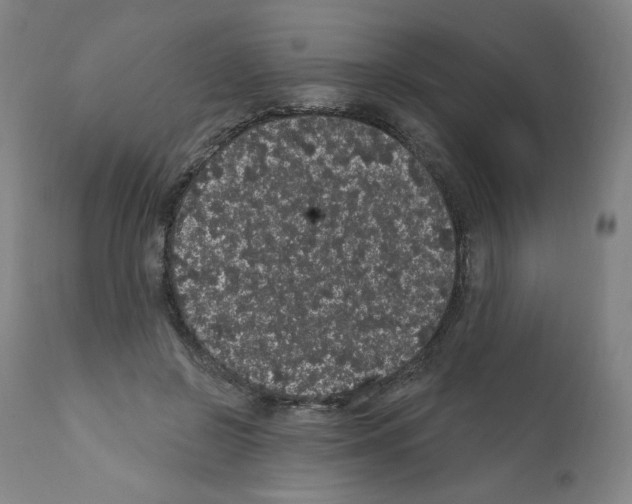 X0000112160550200909181450