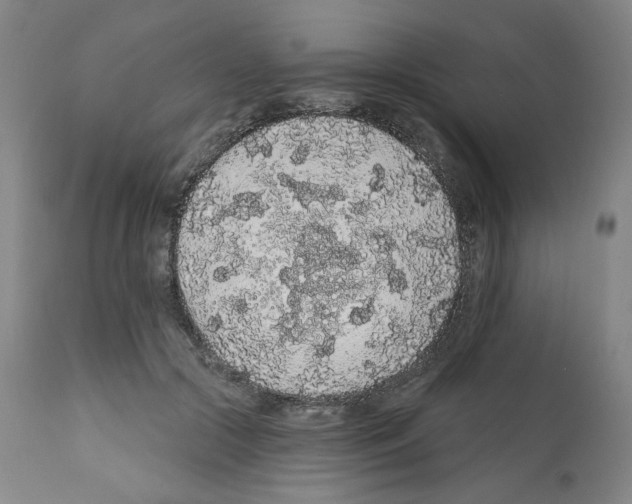 X0000112160553200909181450