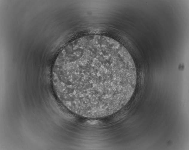 X0000112160557200909181450
