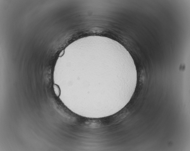 X0000112160559200909181450
