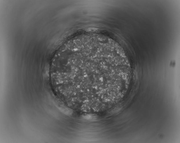 X0000112160561200909181450