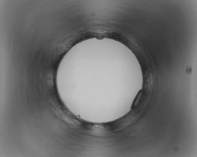 X0000112160562200909181450