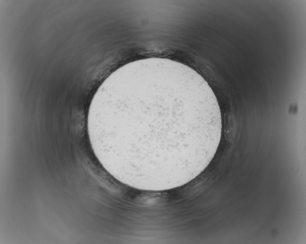 X0000112160563200909181450