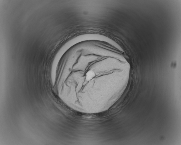 X0000112160564200909181450