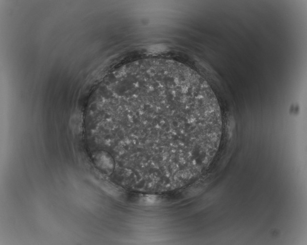 X0000112160565200909181450