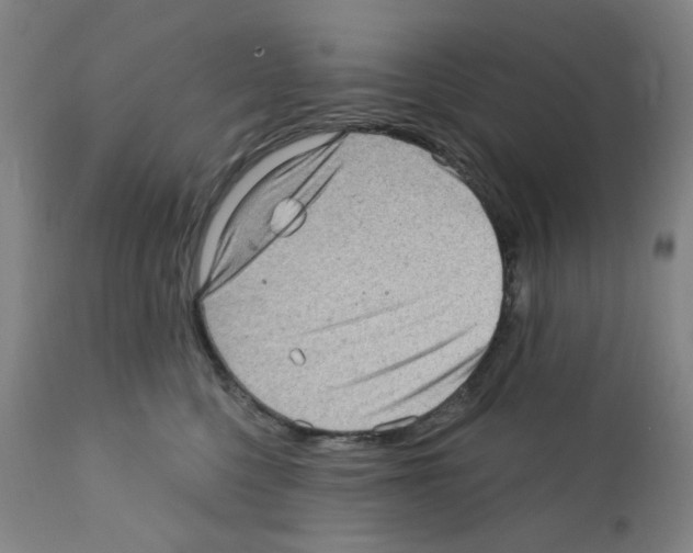 X0000112160568200909181450