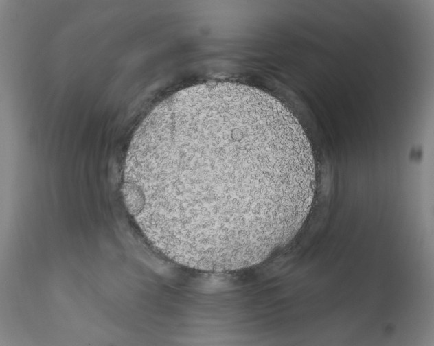 X0000112160569200909181450
