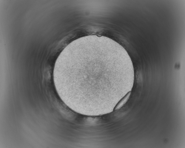 X0000112160570200909181450