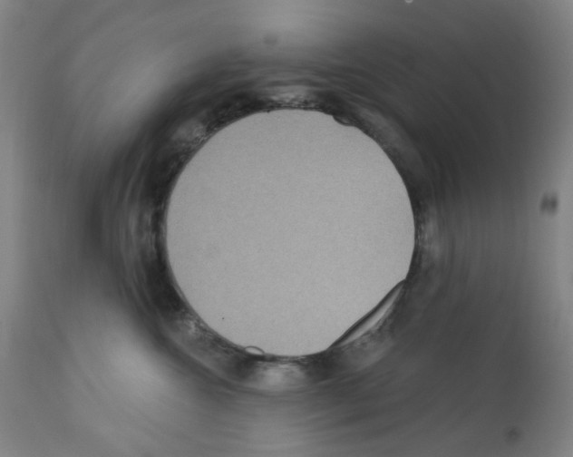 X0000112160572200909181450