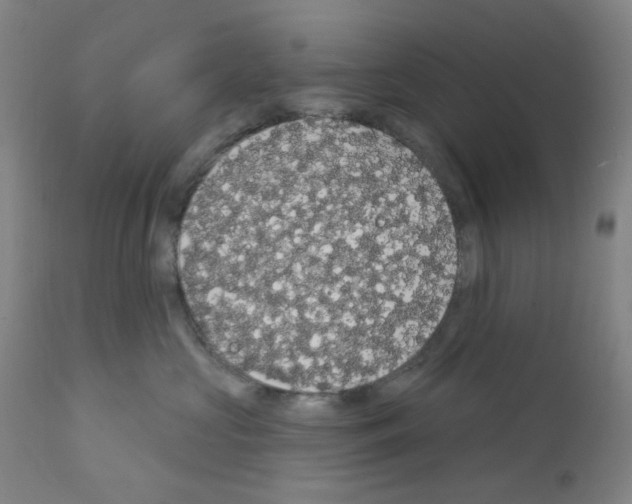 X0000112160573200909181450