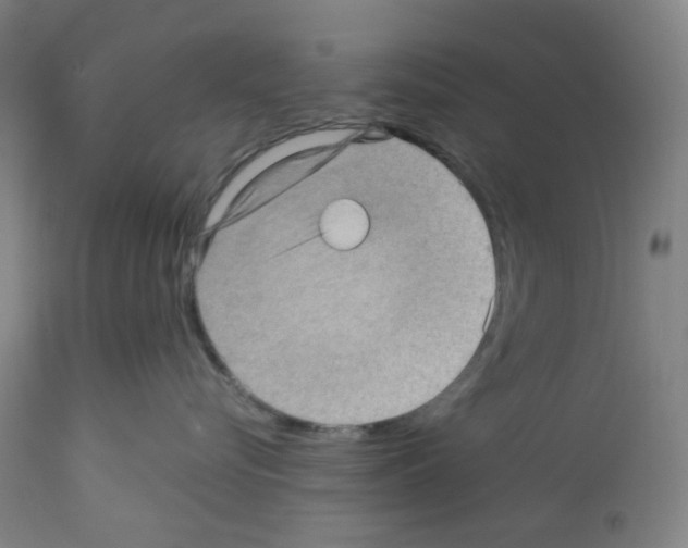 X0000112160576200909181450