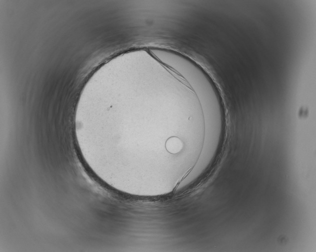 X0000112160577200909181449