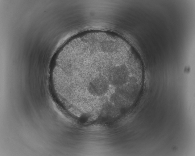 X0000112160578200909181449