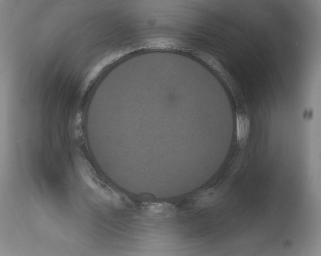 X0000112160579200909181449