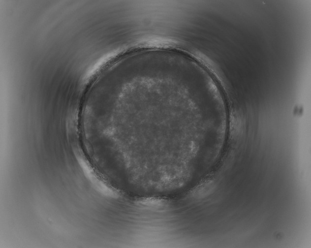 X0000112160581200909181449