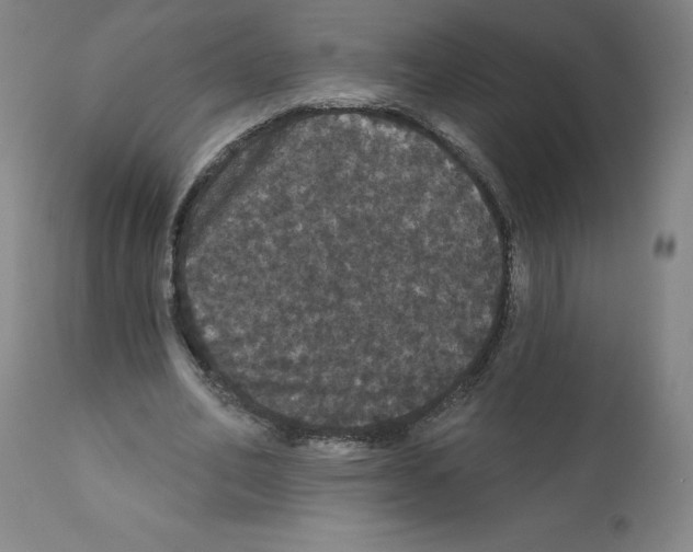 X0000112160582200909181449