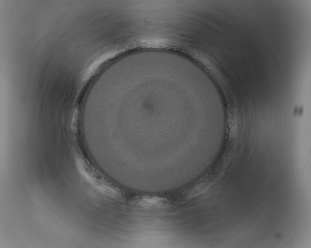 X0000112160583200909181449
