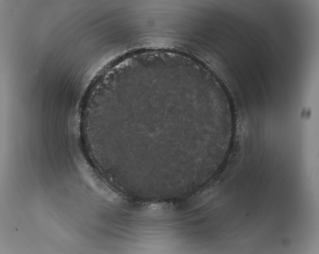 X0000112160584200909181449
