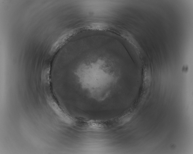 X0000112160585200909181449