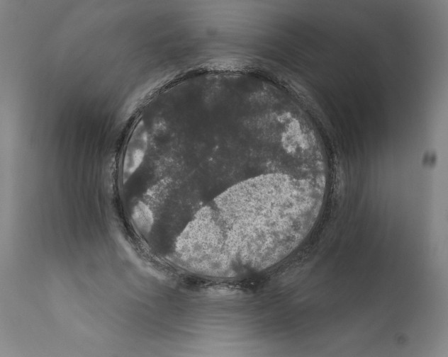 X0000112160586200909181449