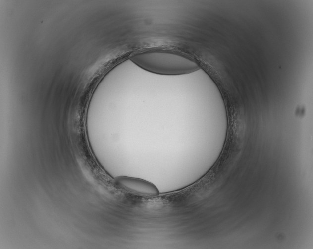 X0000112160587200909181449