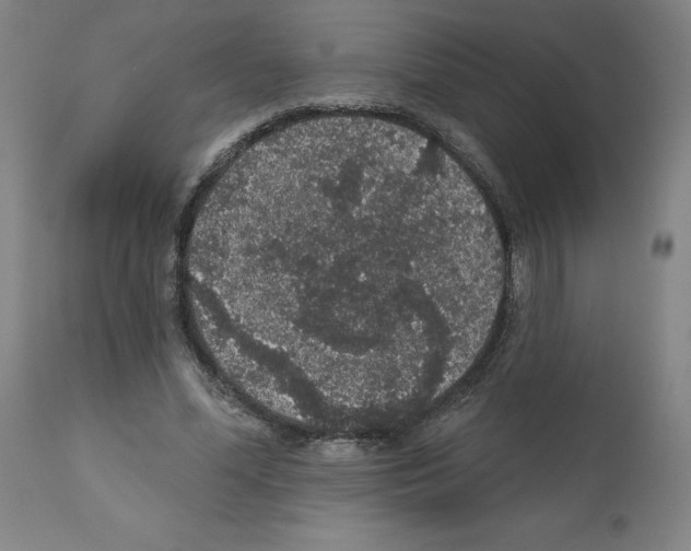 X0000112160588200909181449