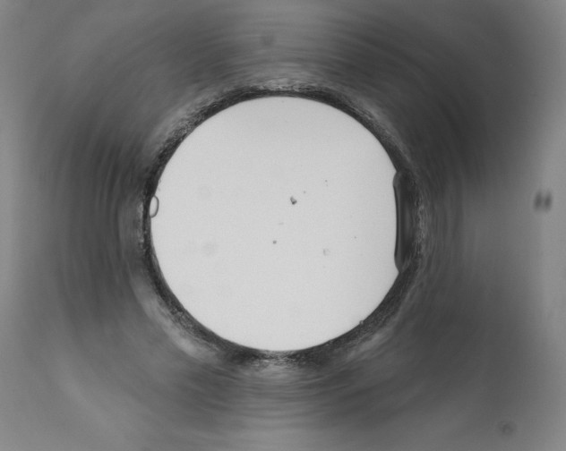 X0000112160589200909181449