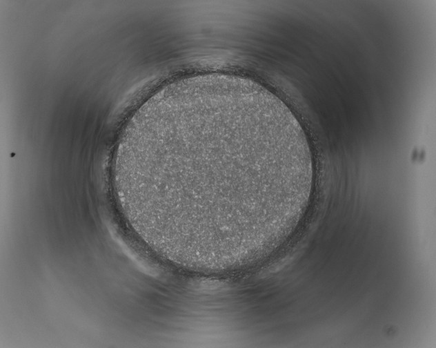 X0000112160590200909181449