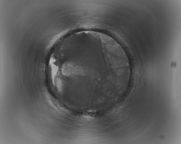 X0000112160592200909181449