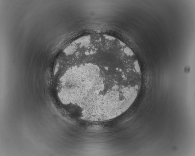 X0000112160594200909181449