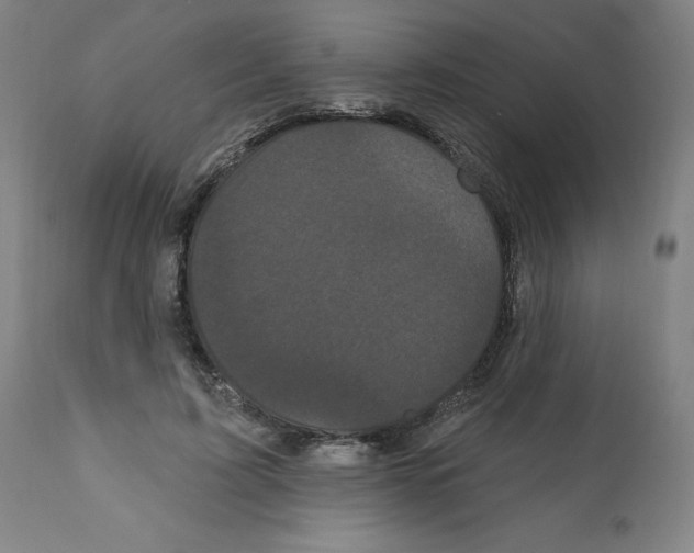 X0000112160595200909181449