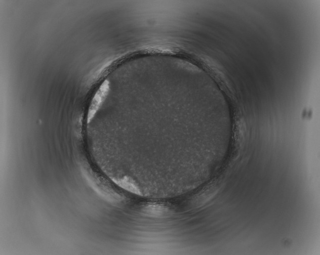 X0000112160596200909181449