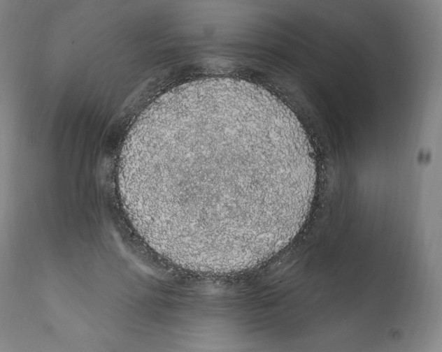 X0000112160598200909181449