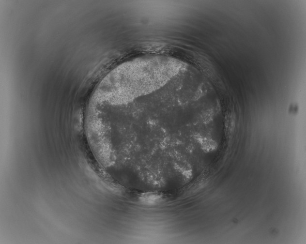 X0000112160602200909181449
