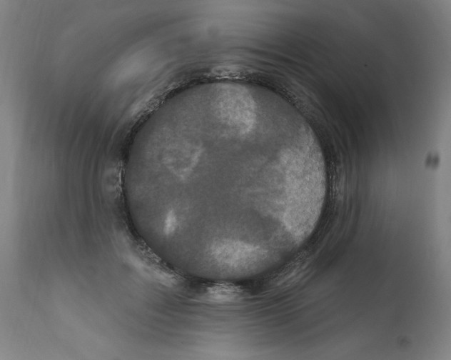 X0000112160603200909181449