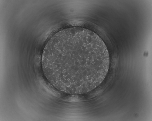 X0000112160604200909181449