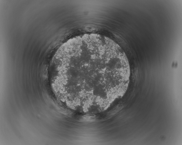 X0000112160606200909181449