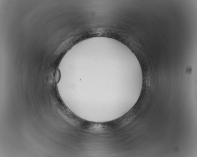 X0000112160611200909181449