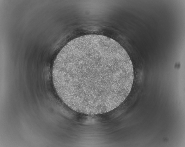X0000112160612200909181449