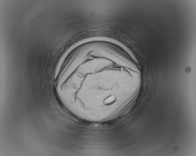 X0000112160613200909181449