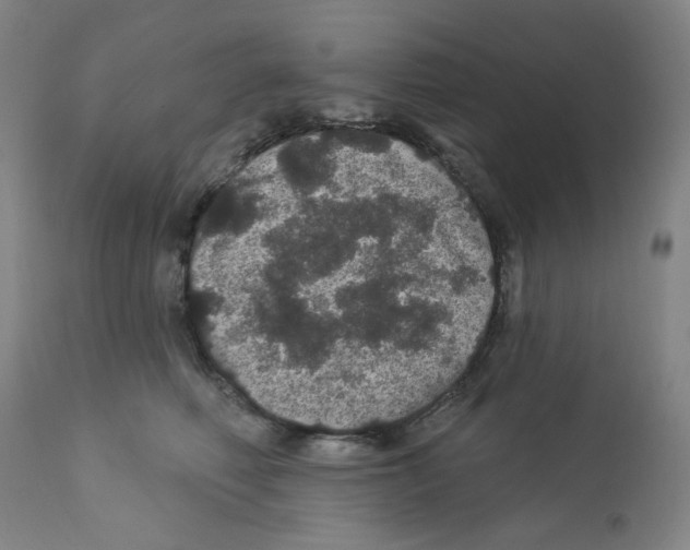 X0000112160614200909181449