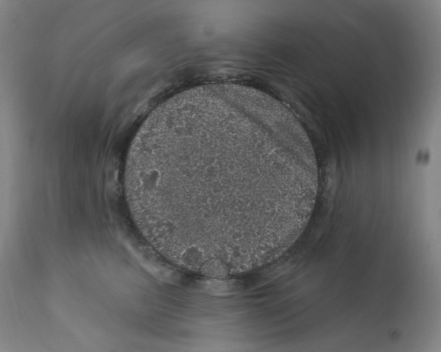 X0000112160615200909181449