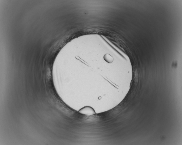 X0000112160617200909181449