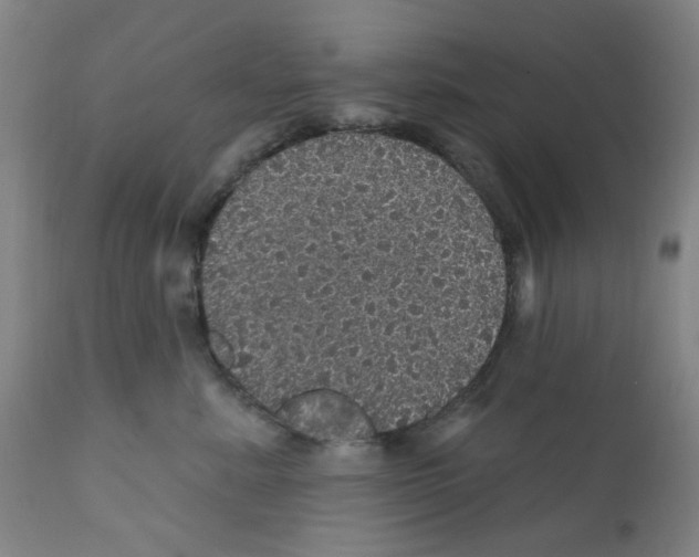 X0000112160619200909181449