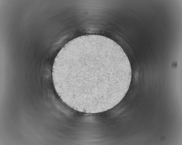 X0000112160620200909181449