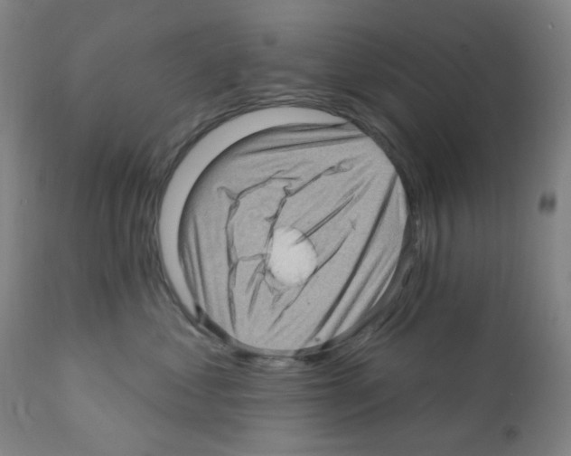X0000112160621200909181449