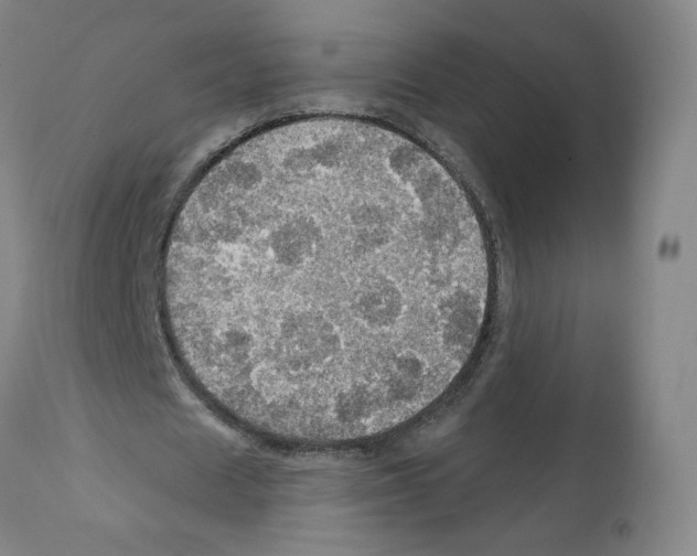 X0000112160625200909181448