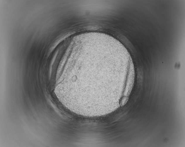 X0000112160626200909181448